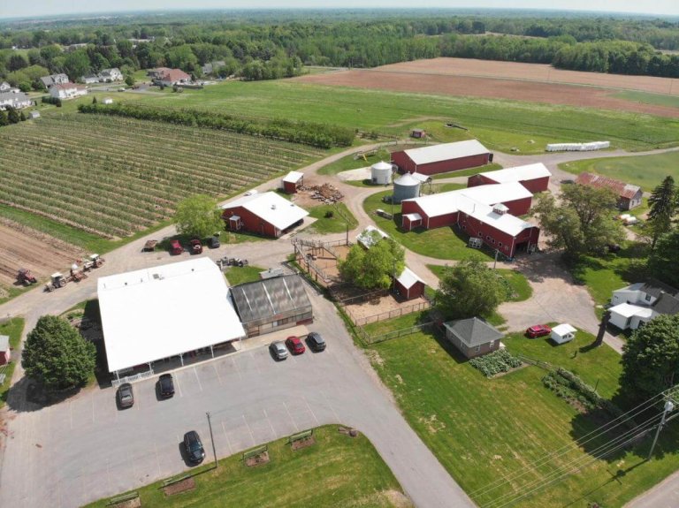 Family-Friendly Activities