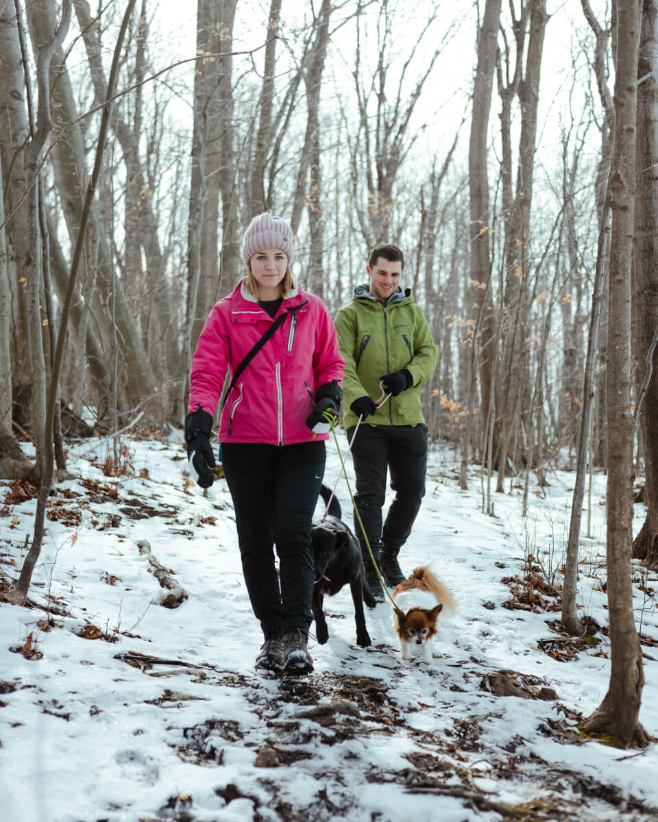 a man and woman walking a dog in the snow