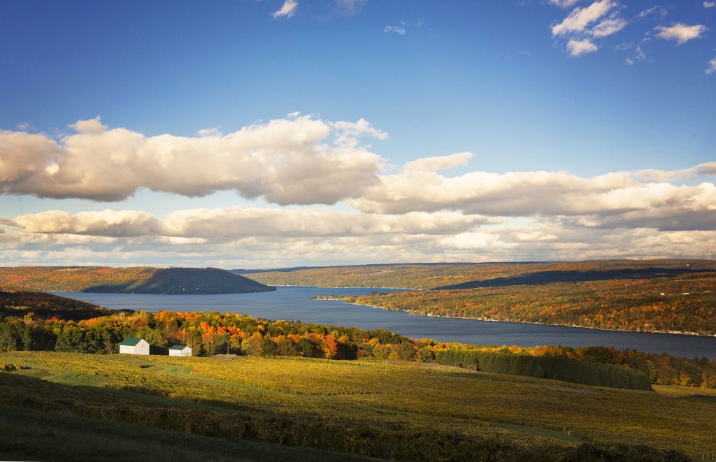 The Finger Lakes