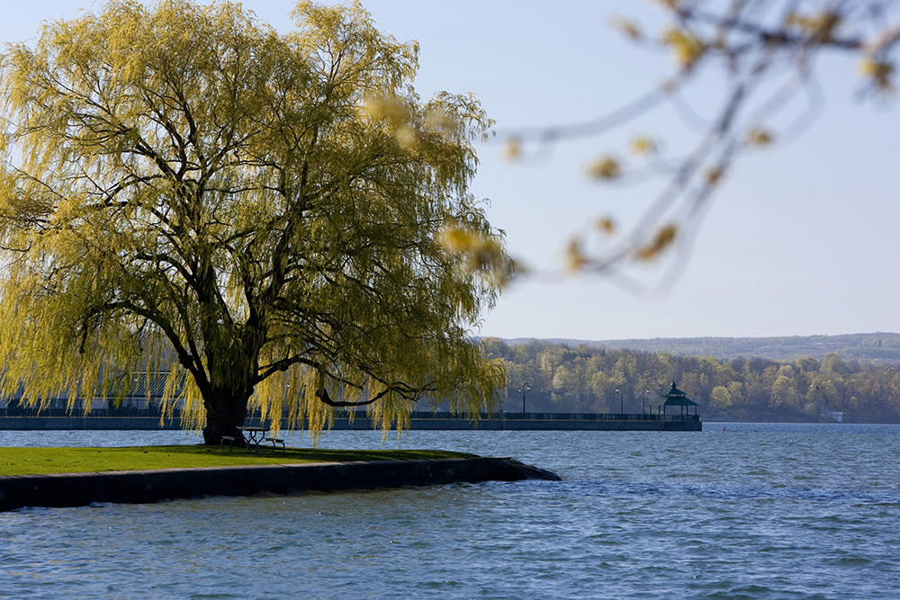 The Finger Lakes