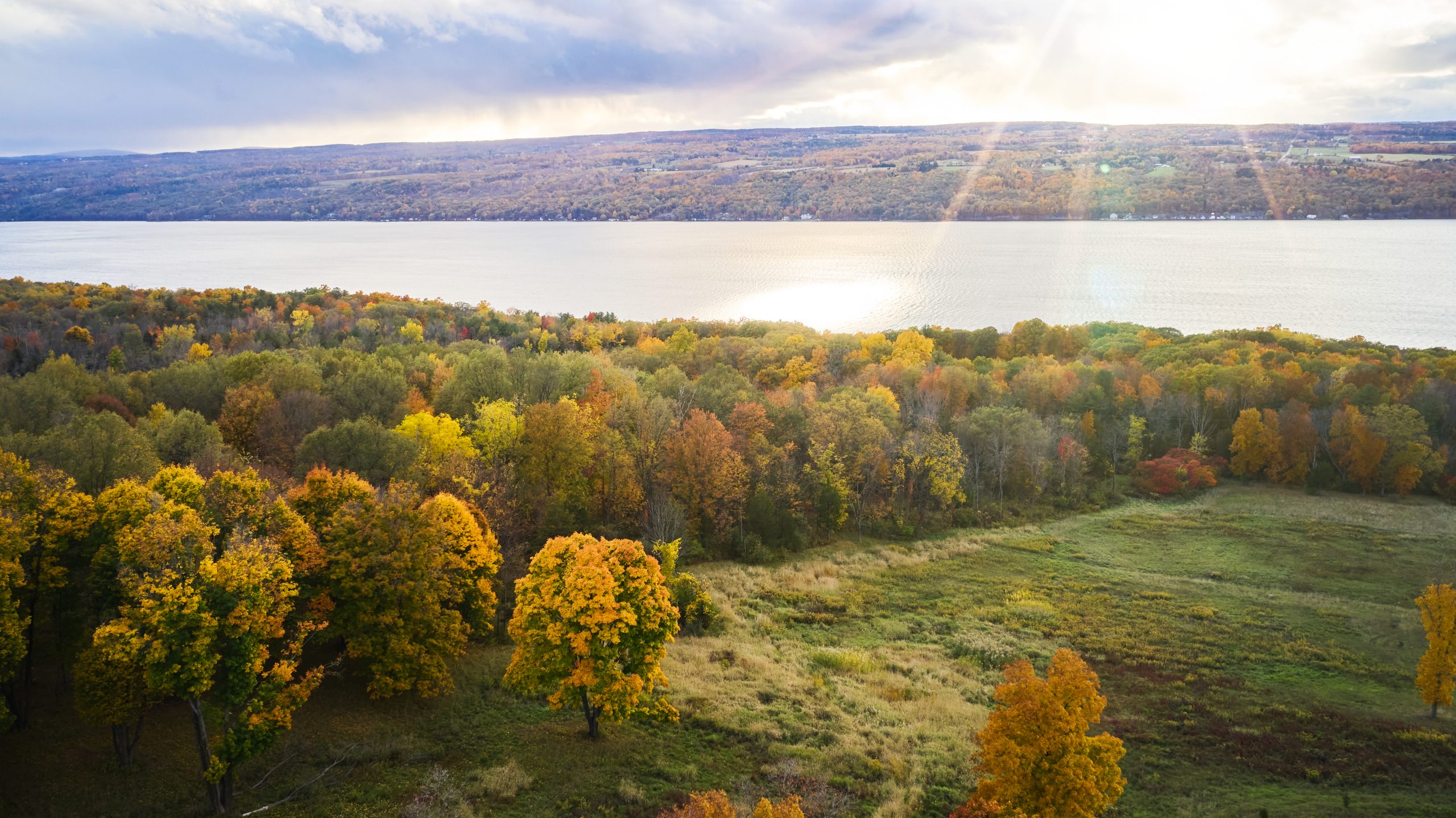 The Finger Lakes