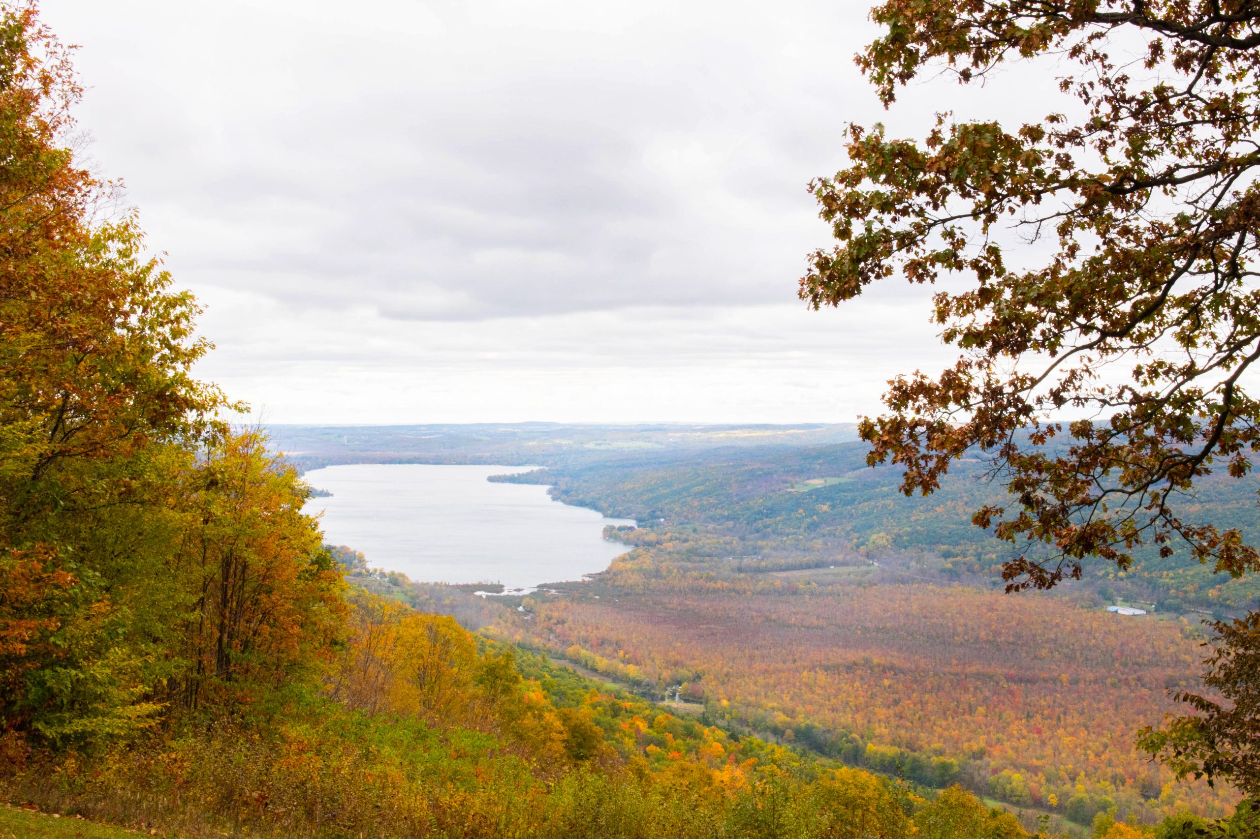 The Finger Lakes