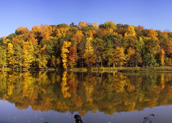 Beebe Lake