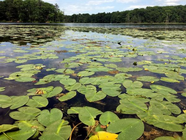 Sanford Lake