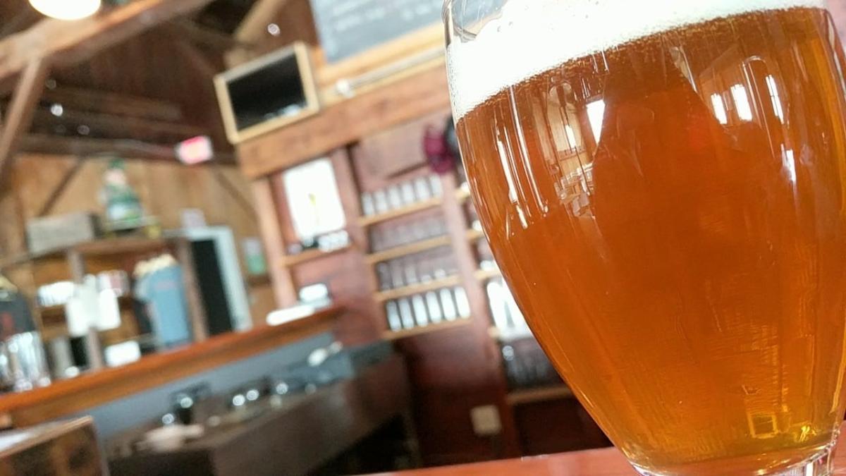Celebrate National Beer Day in the Finger Lakes