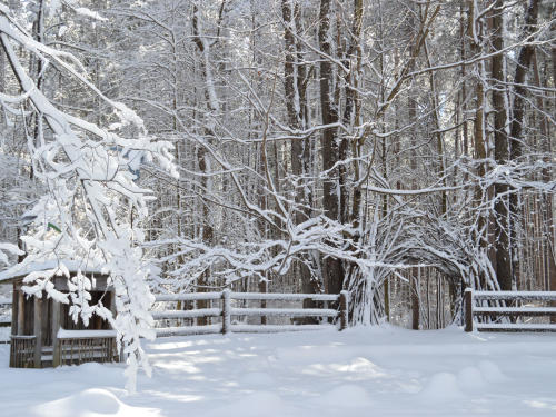 Cumming Nature Center in winter