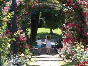 Mills Rose Garden