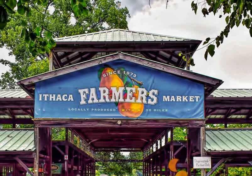 Fresh Finds Across the Finger Lakes Fresh Finds Across the Finger Lakes