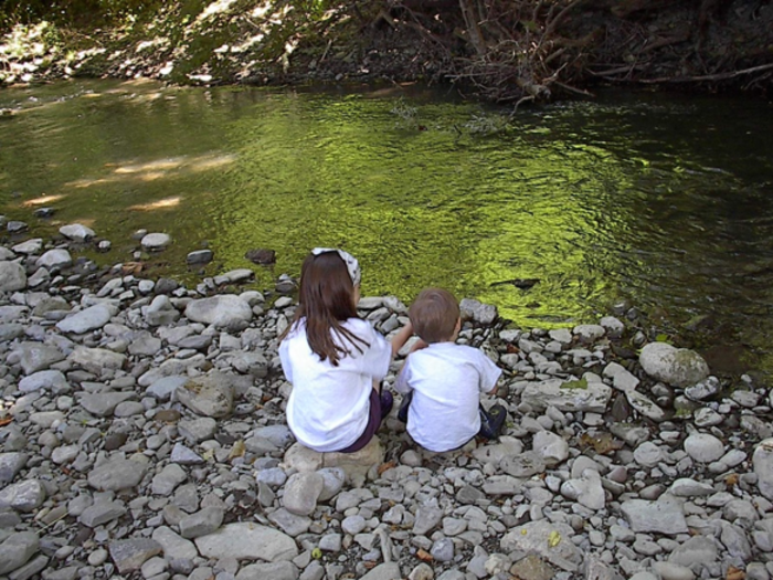 Grimes Glen