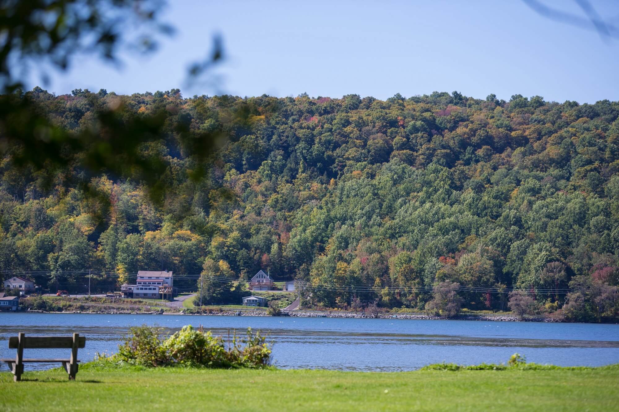 The Finger Lakes