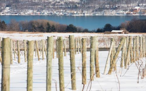 Keuka Lake Wine Trail, Heron Hill Winery