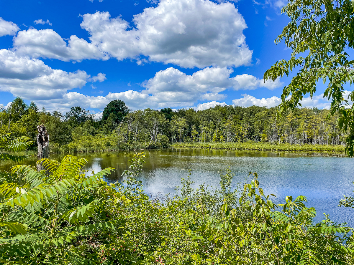 Where Brave Women Blaze a Trail