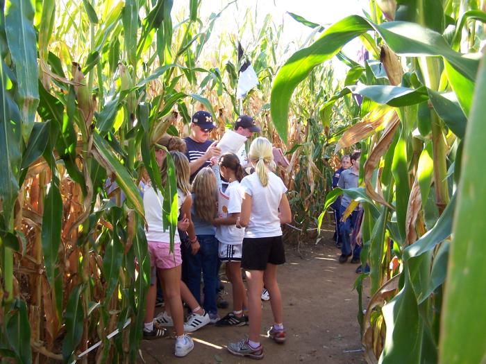 Long Acres Farm