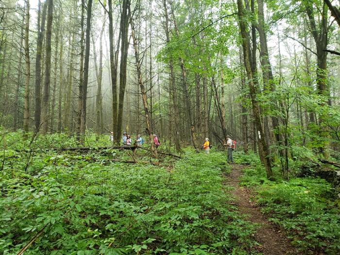 Finger Lakes Trail