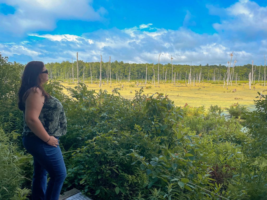 Woman looking out over wetlands at Sterling Nature Center in the Finger Lakes