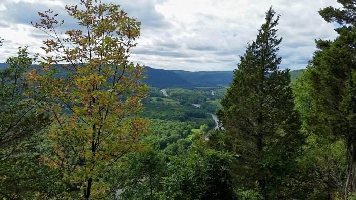 Tanglewood Nature Center