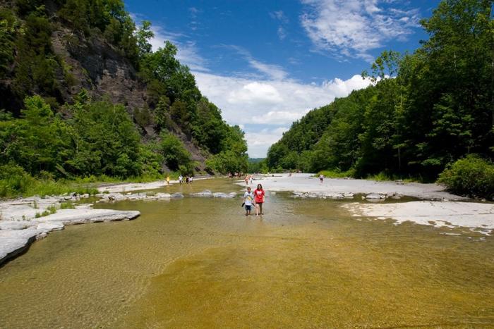 Tompkins County Ithaca - Taughonnack Falls Summer