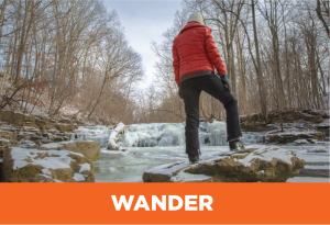 Wander