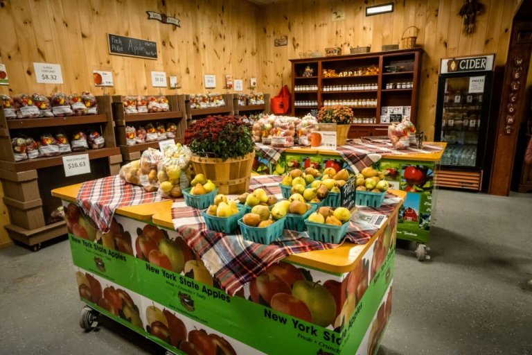 Family-Friendly Activities