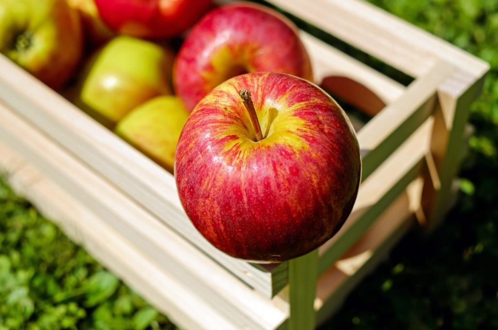 Apples Abound in the Finger Lakes