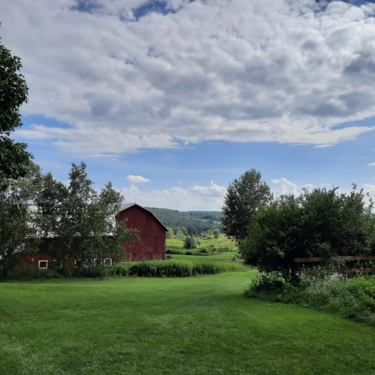 Family-Friendly Activities