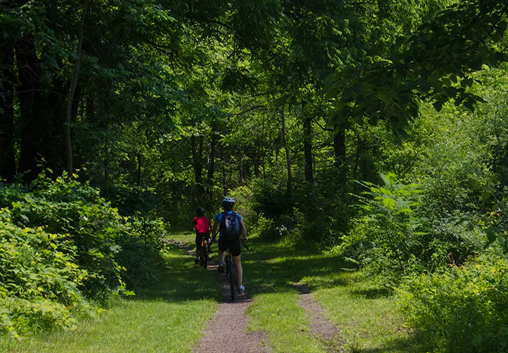 Spring Has Sprung: Get Outside in the Finger Lakes